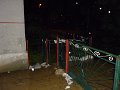 Zaplavy2010   76